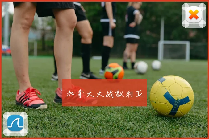 加拿大大战叙利亚