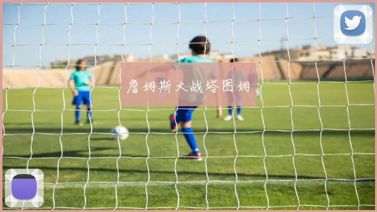 詹姆斯大战塔图姆