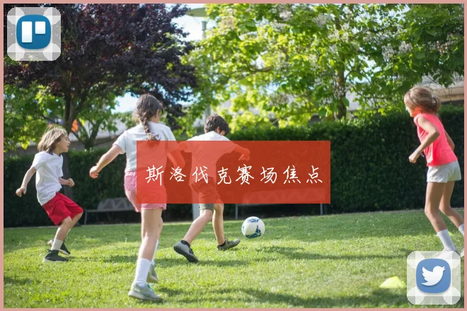 斯洛伐克赛场焦点