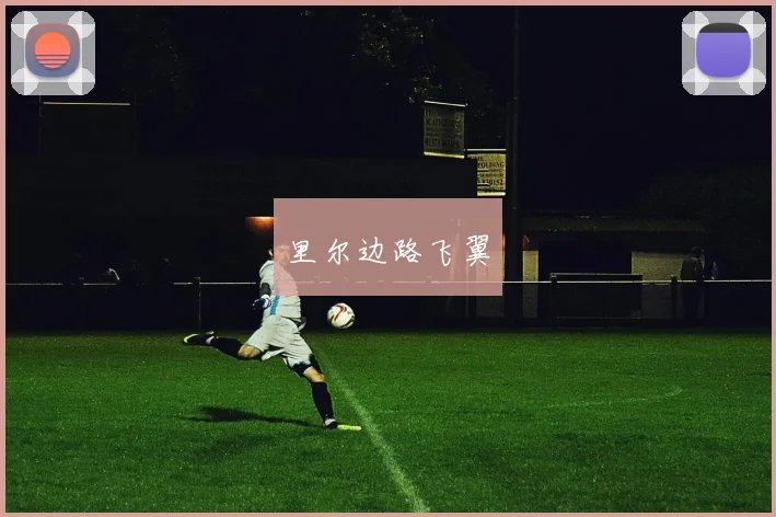 里尔边路飞翼