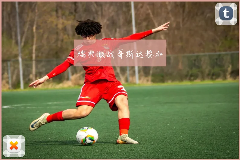瑞典激战哥斯达黎加