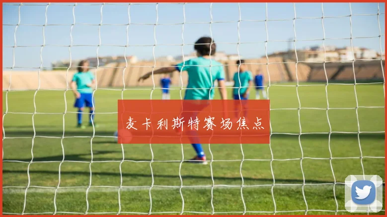 麦卡利斯特赛场焦点
