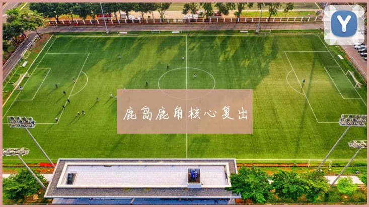 鹿岛鹿角核心复出