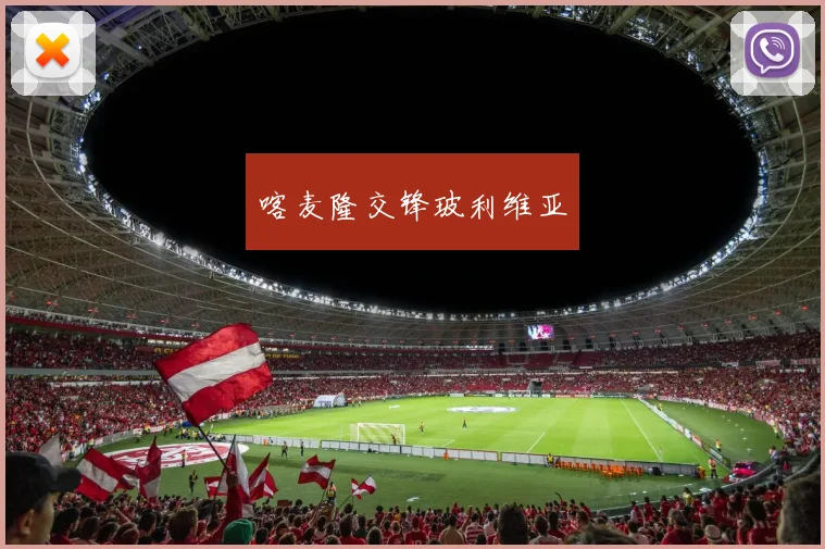 喀麦隆交锋玻利维亚