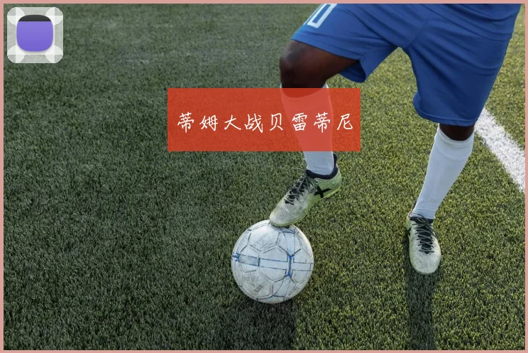 蒂姆大战贝雷蒂尼