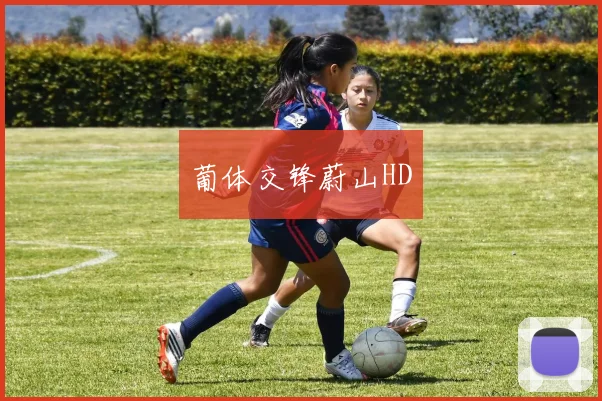 葡体交锋蔚山HD