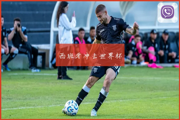西班牙冲击世界杯