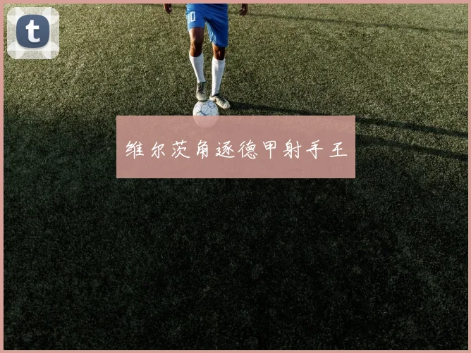 维尔茨角逐德甲射手王