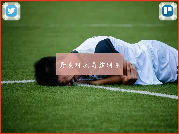 丹麦对决乌兹别克