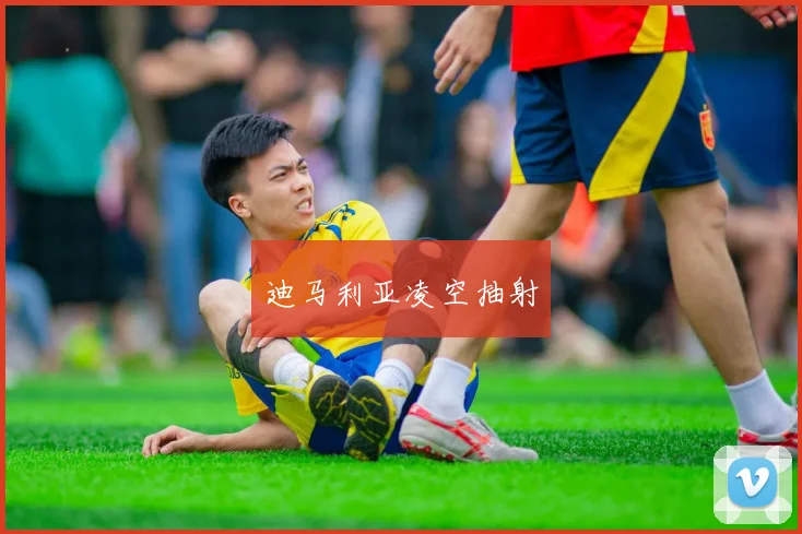 迪马利亚凌空抽射