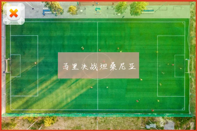 马里决战坦桑尼亚