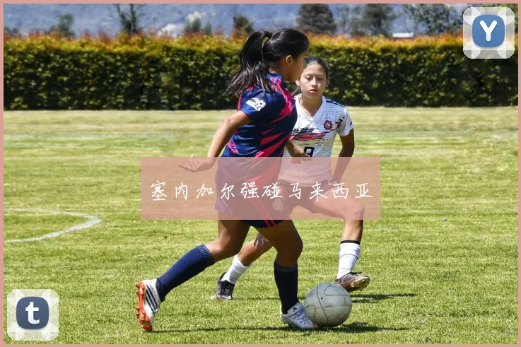 塞内加尔强碰马来西亚
