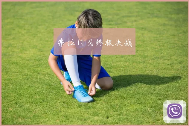 弗拉门戈终极决战