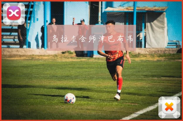 乌拉圭会师津巴布韦
