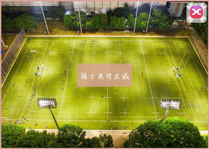 骑士老将发威