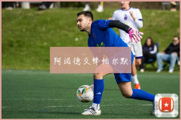阿诺德交锋帕尔默