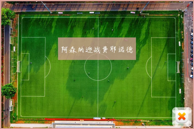 阿森纳迎战费耶诺德