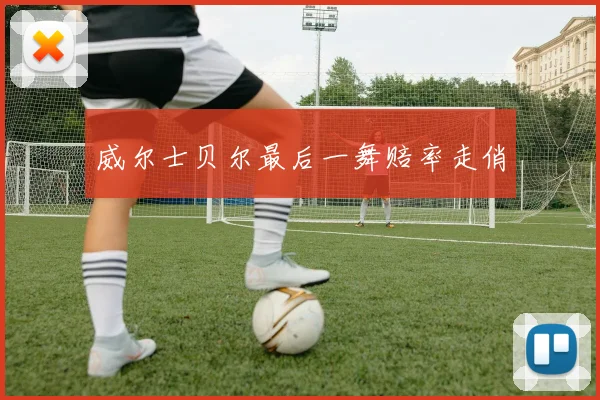 威尔士贝尔最后一舞赔率走俏
