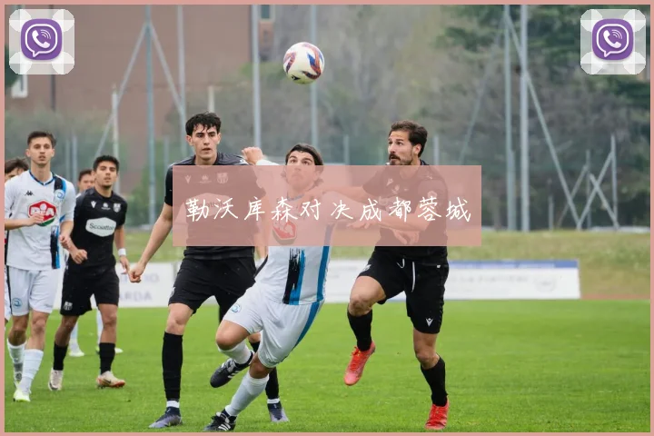 勒沃库森对决成都蓉城