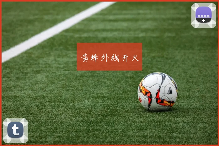 黄蜂外线开火