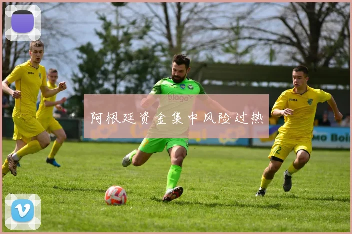 阿根廷资金集中风险过热