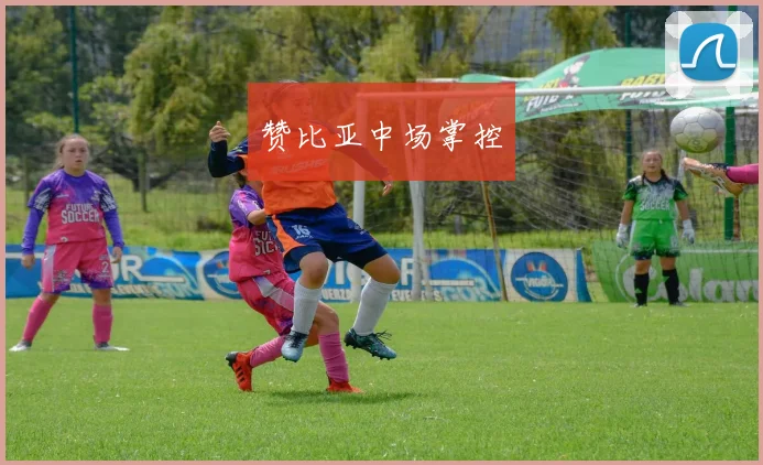 赞比亚中场掌控