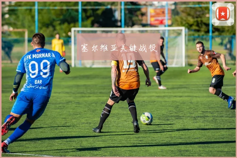 塞尔维亚关键战役