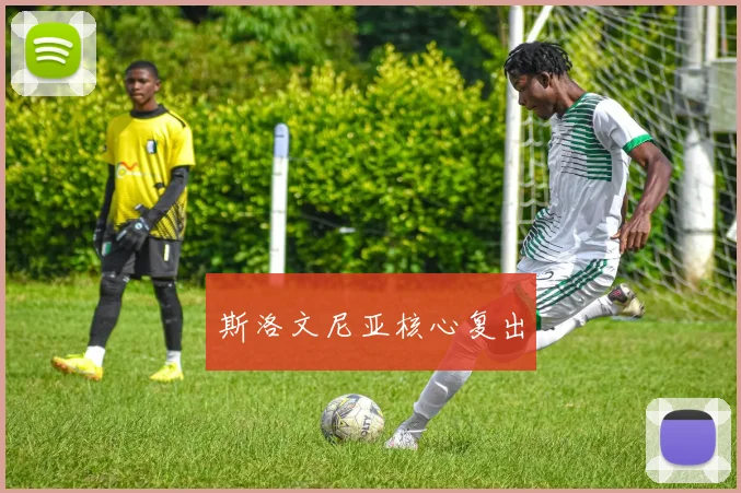 斯洛文尼亚核心复出