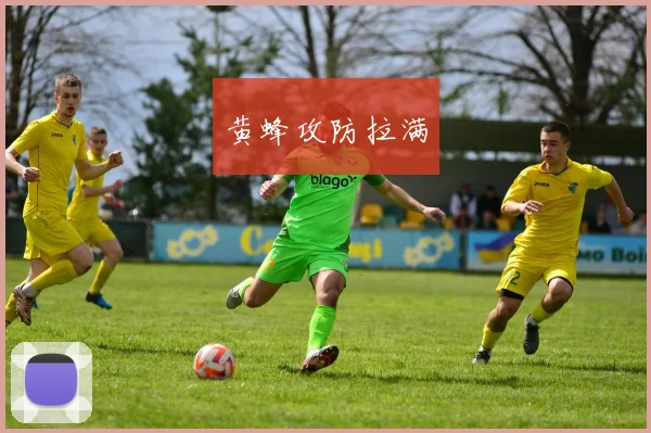 黄蜂攻防拉满