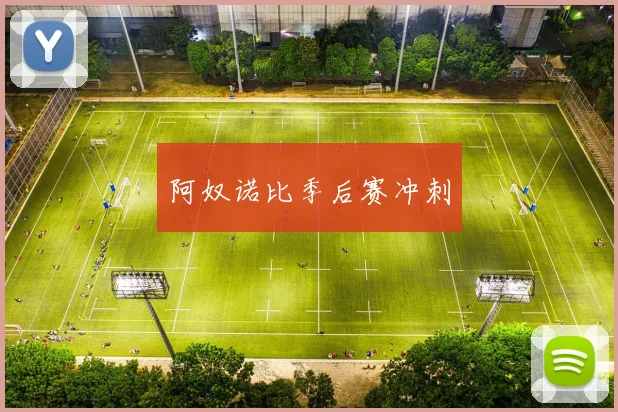 阿奴诺比季后赛冲刺