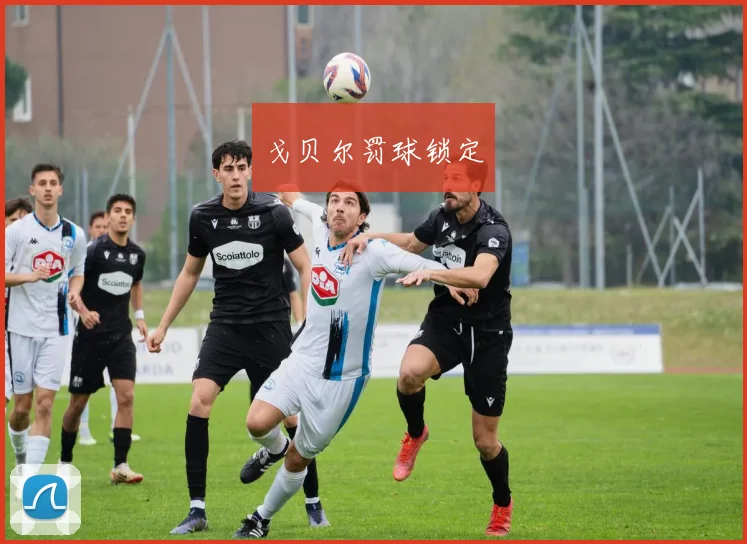 戈贝尔罚球锁定