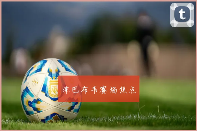 津巴布韦赛场焦点