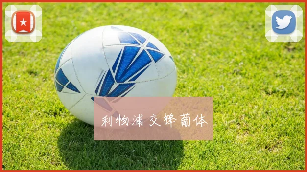利物浦交锋葡体