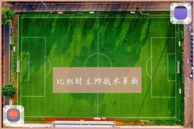 比利时主帅战术革新