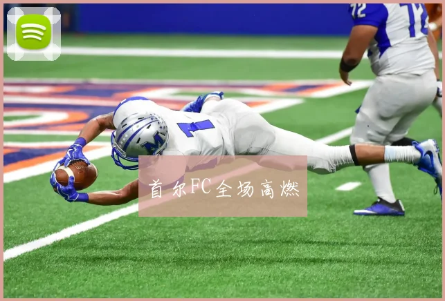 首尔FC全场高燃