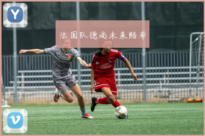 法国队德尚未来赔率