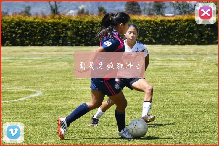 葡萄牙疯狂冲击