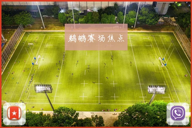 鹈鹕赛场焦点