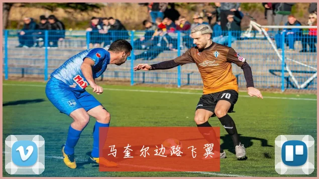 马奎尔边路飞翼