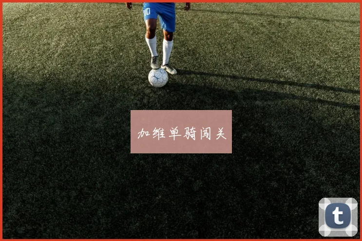 加维单骑闯关