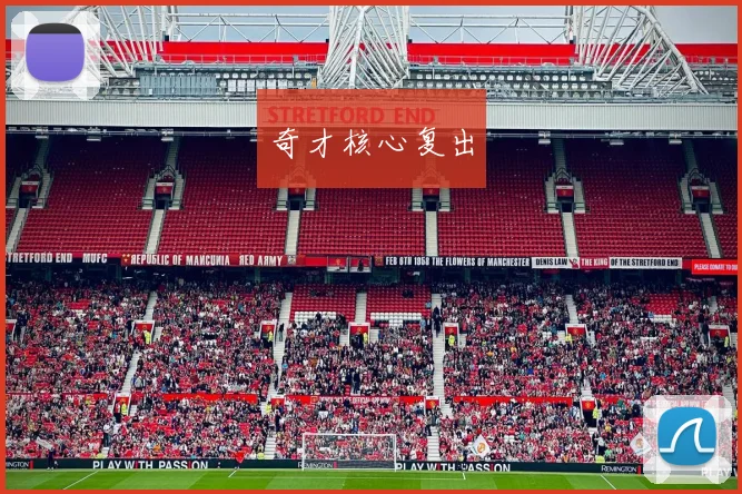 奇才核心复出