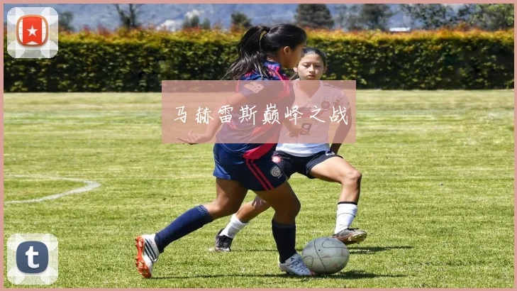 马赫雷斯巅峰之战