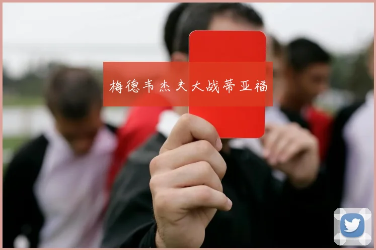 梅德韦杰夫大战蒂亚福