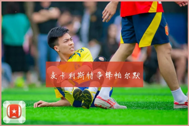 麦卡利斯特争锋帕尔默