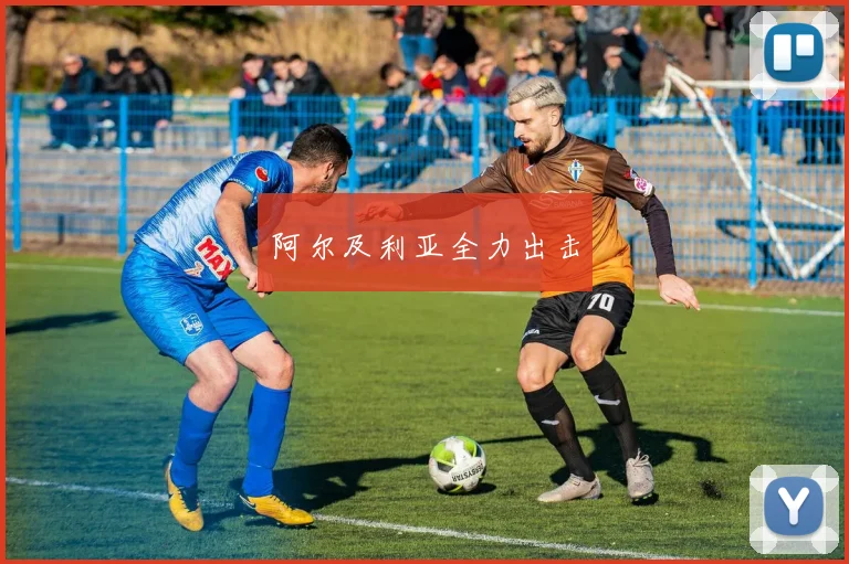 阿尔及利亚全力出击