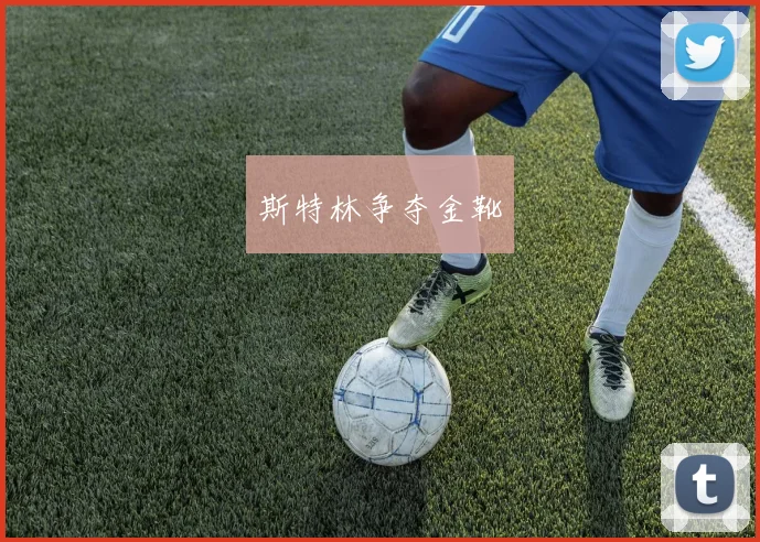 斯特林争夺金靴