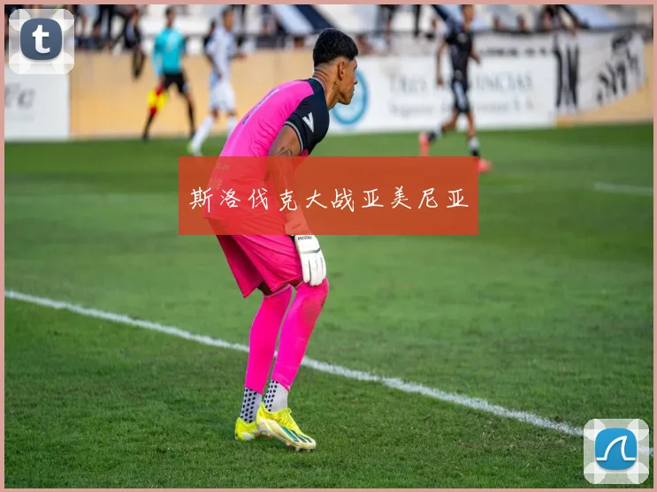 斯洛伐克大战亚美尼亚