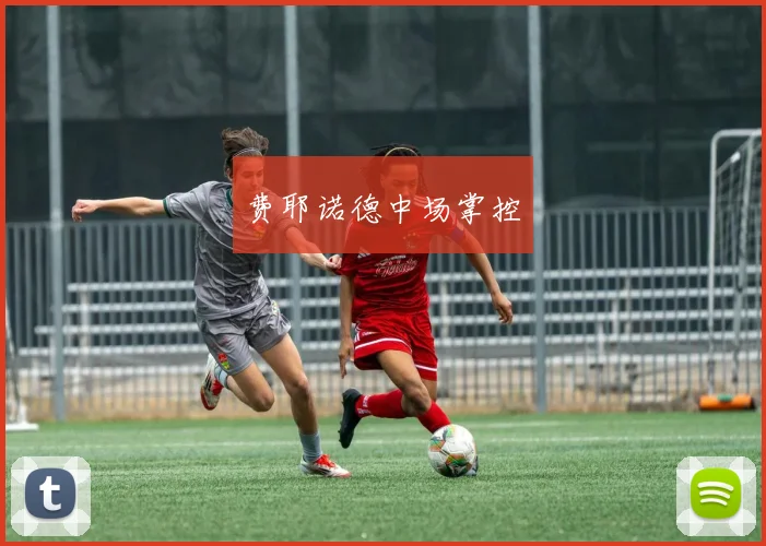 费耶诺德中场掌控