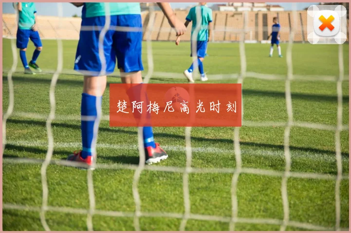 楚阿梅尼高光时刻