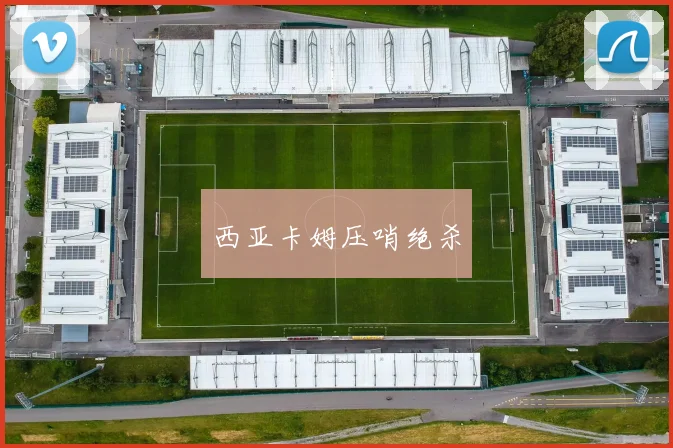 西亚卡姆压哨绝杀